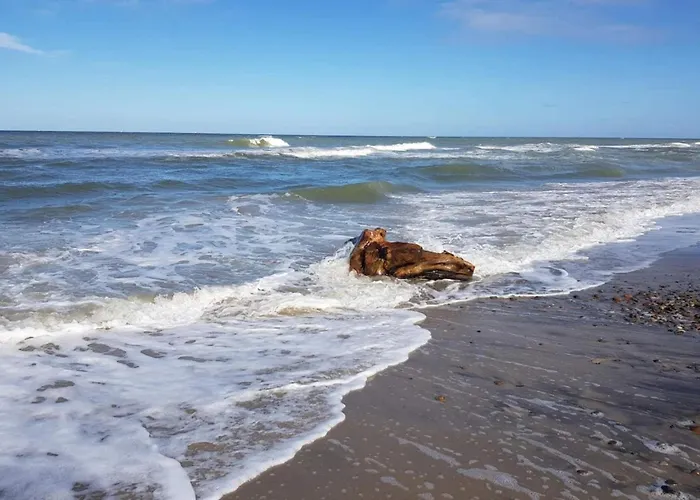 4 Star In Дом отдыха *